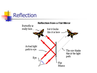 Reflection
 