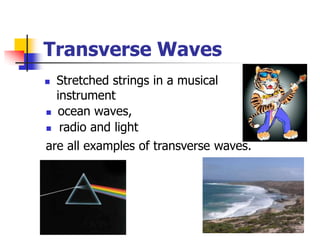 Transverse Waves
   Stretched strings in a musical
    instrument
   ocean waves,
    radio and light
are all examples of transverse waves.
 