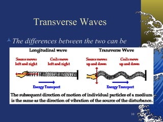 Transverse Waves The differences between the two can be seen 