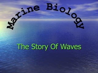 The Story Of Waves Marine Biology 