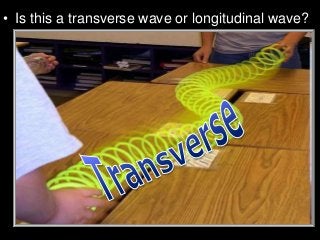 • Is this a transverse wave or longitudinal wave?
 