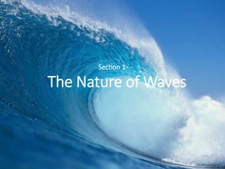 The Nature of Waves
Section 1
 
