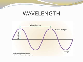 Grade 7 Waves powerpointpresentation.ppt