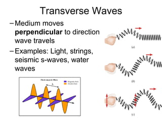 Transverse Waves
–Medium moves
perpendicular to direction
wave travels
–Examples: Light, strings,
seismic s-waves, water
waves
 