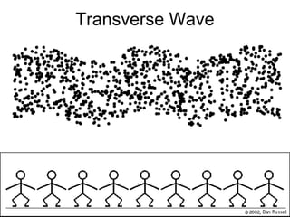 Transverse Wave
 
