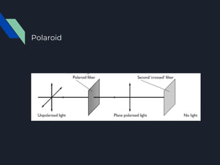 Polaroid
 
