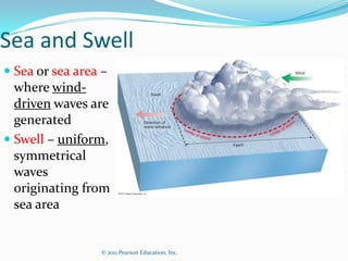 Sea and Swell
 Sea or sea area –
  where wind-
  driven waves are
  generated
 Swell – uniform,
  symmetrical
  waves
  originating from
  sea area


                 © 2011 Pearson Education, Inc.
 