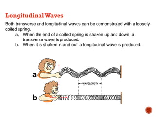 Both transverse and longitudinal waves can be demonstrated with a loosely
coiled spring.
a. When the end of a coiled spring is shaken up and down, a
transverse wave is produced.
b. When it is shaken in and out, a longitudinal wave is produced.
LongitudinalWaves
 