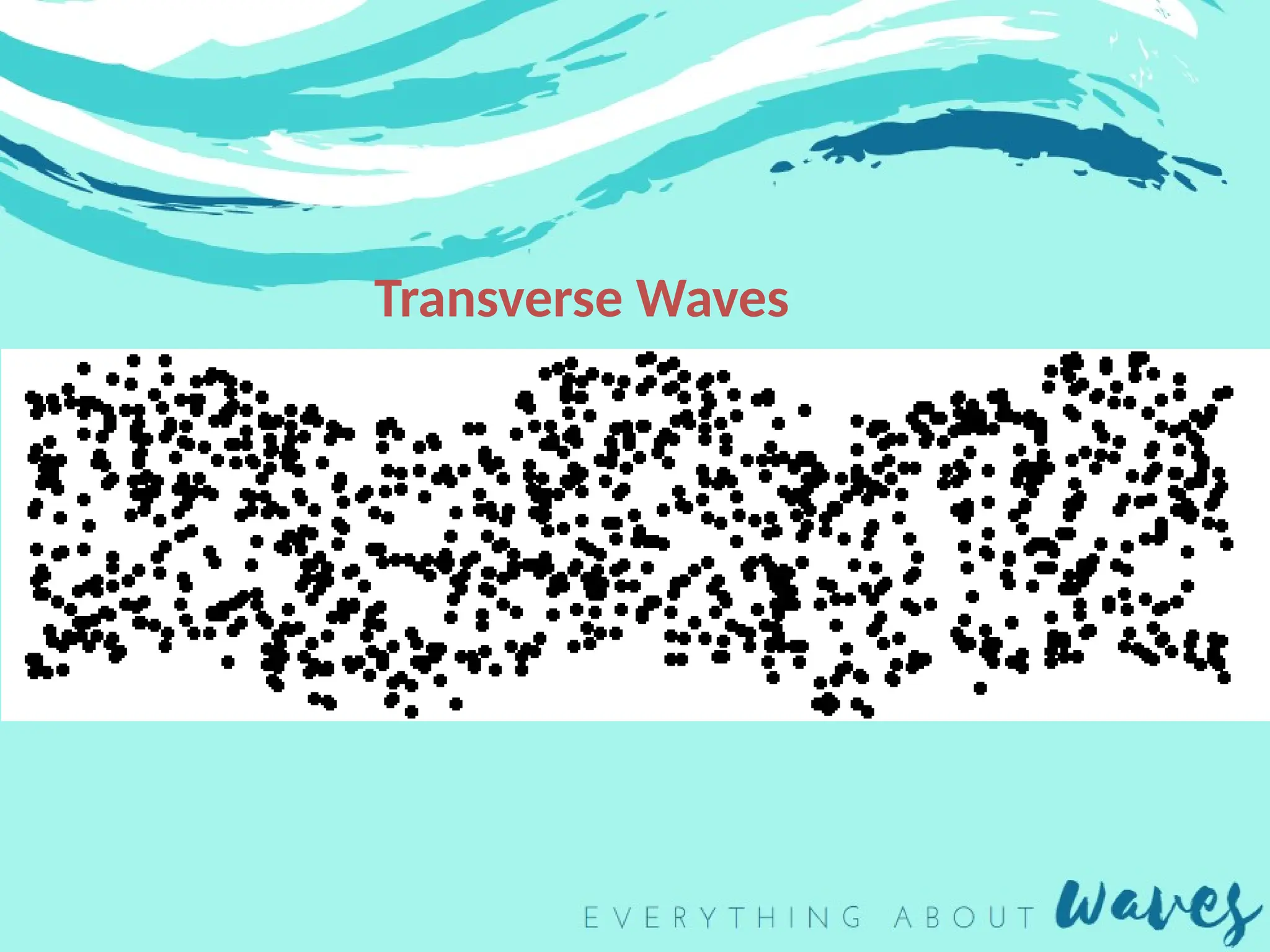 Transverse Waves
 