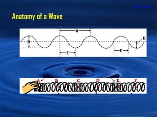 Unit 1 - Waves Anatomy of a Wave 