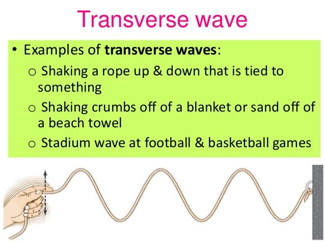 wave ppt