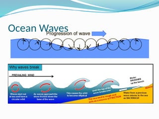 Ocean Waves
 