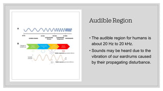 Audible Region
• The audible region for humans is
about 20 Hz to 20 kHz.
• Sounds may be heard due to the
vibration of our eardrums caused
by their propagating disturbance.
 