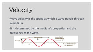 Velocity
◦Wave velocity is the speed at which a wave travels through
a medium.
◦It is determined by the medium's properties and the
frequency of the wave.
 