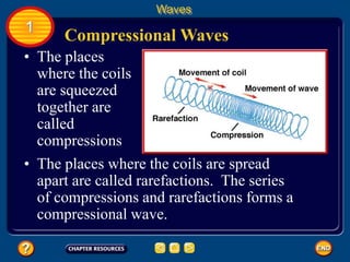 • The places
where the coils
are squeezed
together are
called
compressions
Compressional Waves
Waves
1
• The places where the coils are spread
apart are called rarefactions. The series
of compressions and rarefactions forms a
compressional wave.
 