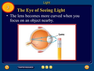 The Eye of Seeing Light
• The lens becomes more curved when you
focus on an object nearby.
Light
3
 