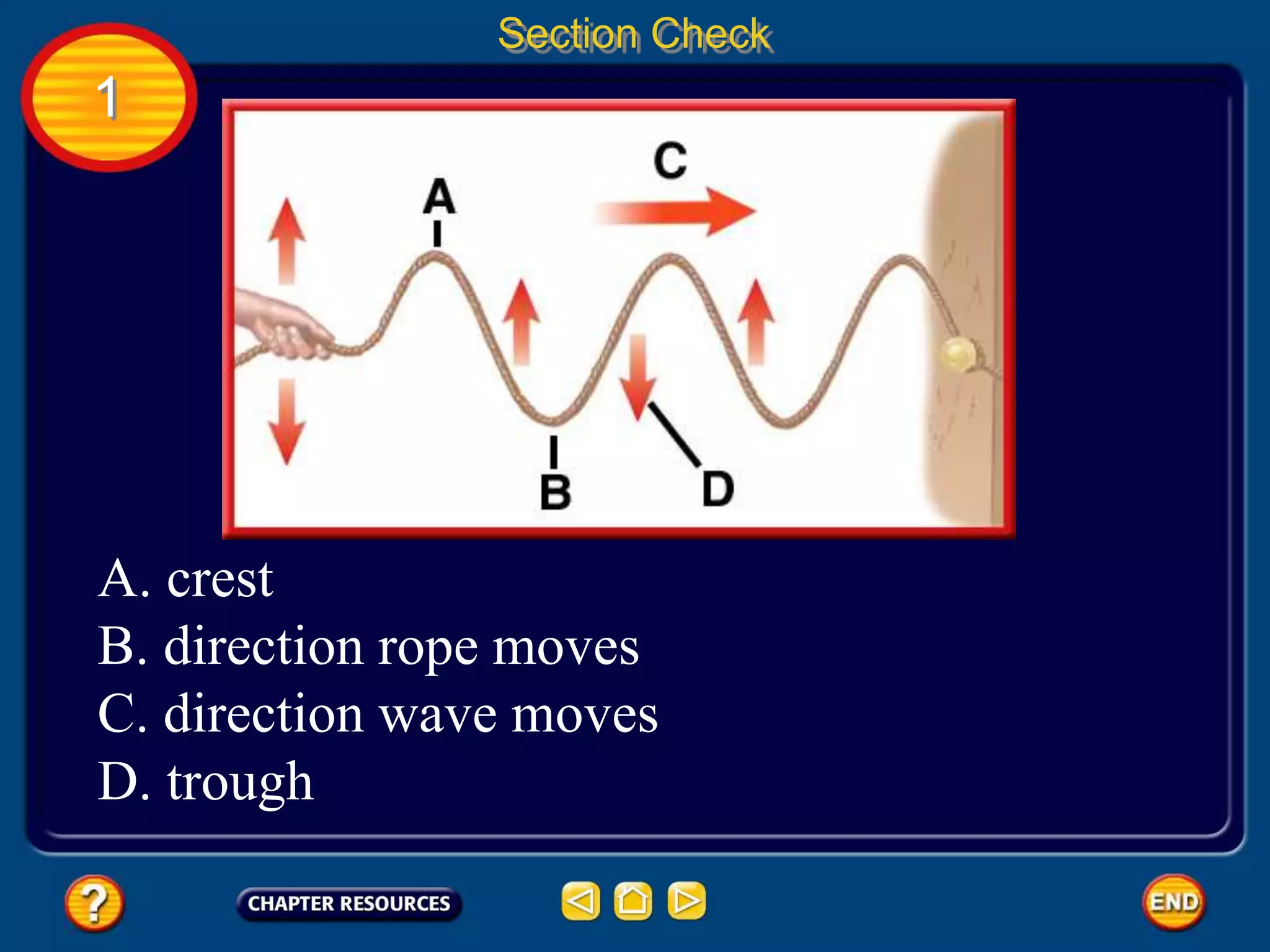 1
Section Check
A. crest
B. direction rope moves
C. direction wave moves
D. trough
 