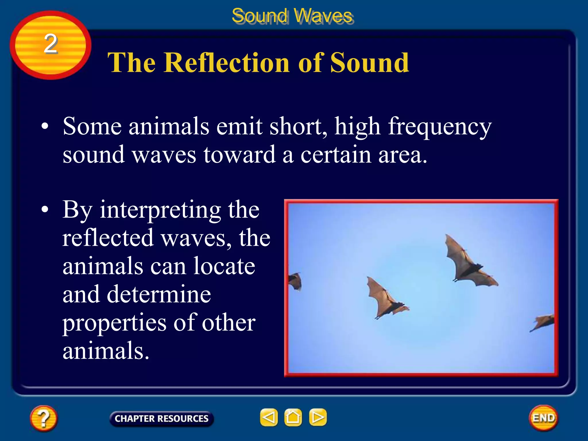 The Reflection of Sound
Sound Waves
2
• By interpreting the
reflected waves, the
animals can locate
and determine
properties of other
animals.
• Some animals emit short, high frequency
sound waves toward a certain area.
 