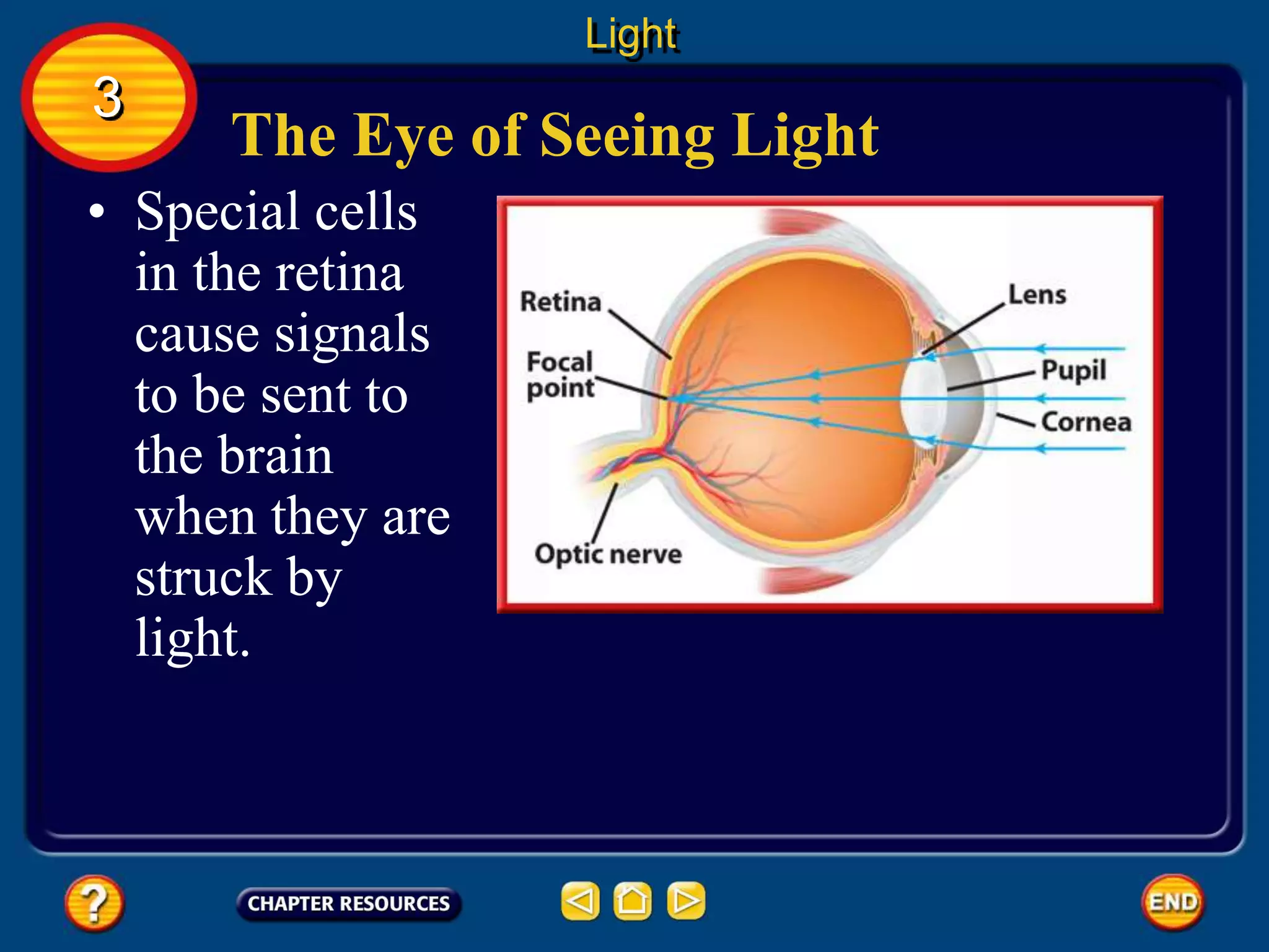 The Eye of Seeing Light
• Special cells
in the retina
cause signals
to be sent to
the brain
when they are
struck by
light.
Light
3
 