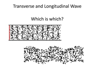 Transverse and Longitudinal Wave
Which is which?
 