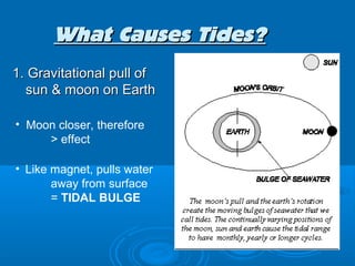 What Causes Tides?
1. Gravitational pull of
  sun & moon on Earth

• Moon closer, therefore
     > effect

• Like magnet, pulls water
       away from surface
       = TIDAL BULGE
 