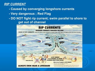 RIP CURRENT
   - Caused by converging longshore currents
   - Very dangerous ; Red Flag
   - DO NOT fight rip current; swim parallel to shore to
          get out of channel
 