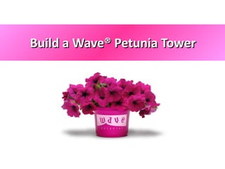 Build a Wave® Petunia Tower 
