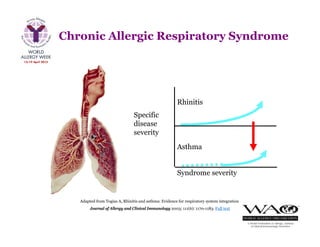 Specific
disease
severity
Rhinitis
Asthma
Syndrome severity
Adapted from Togias A, Rhinitis and asthma: Evidence for respiratory system integration.
Journal of Allergy and Clinical Immunology 2003; 111(6): 1170-1183. Full text
Chronic Allergic Respiratory Syndrome
 