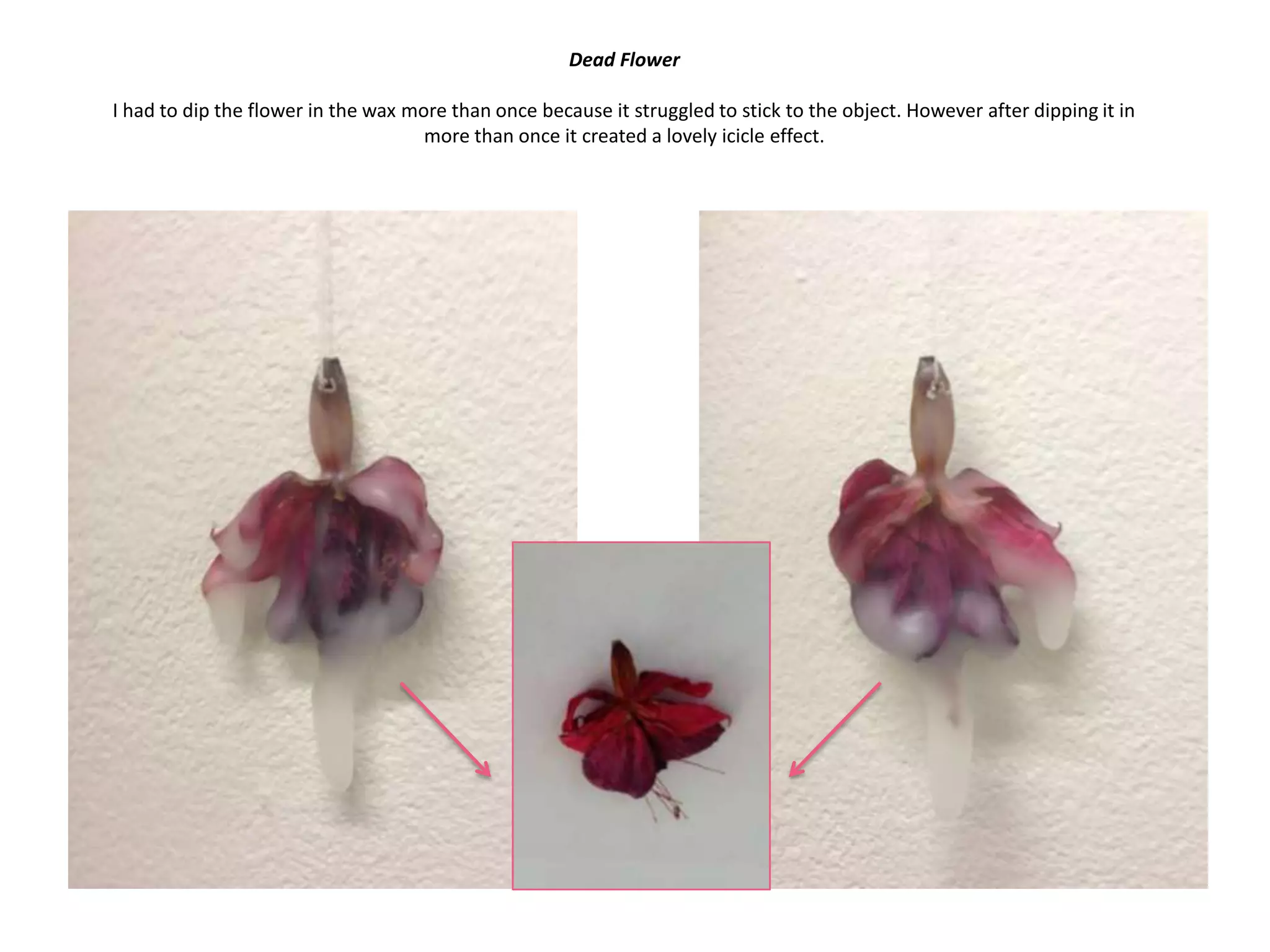 Dead Flower
I had to dip the flower in the wax more than once because it struggled to stick to the object. However after dipping it in
more than once it created a lovely icicle effect.

 