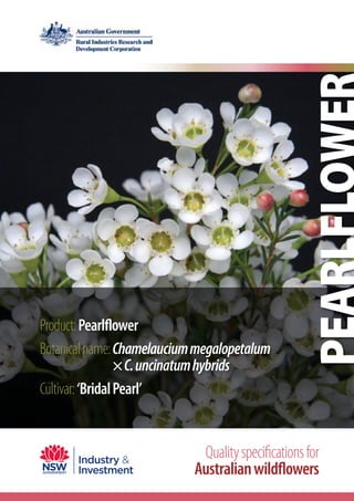 Product:Pearlflower
Botanicalname:Chamelauciummegalopetalum
×C.uncinatumhybrids
Cultivar:‘BridalPearl’
Qualityspecificationsfor
Australianwildflowers
 