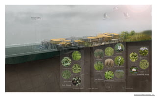 Architecture of (Wet)Land Building 36
High Ground
Low Ground
Standing Water
Salix nigra
Vigna luteoia
Mikania scandens
Typha domingus
Eleocharis Spp.
Justica ovata
Schoenoplectus americanus
Zizaniopsis miliacea
Sagittaria latifolia
Sphenochea zeylandica
Phragmites australis
Sagittaria platyphylia
Nelumbo nuciferia
Potamogeton spp.
Eichhornia crassipes
Colocasia esculenta
polygonum punctatum
 