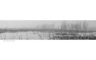 Wax Lake Delta, Cameron Spencer
 