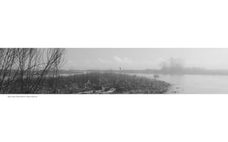 Wax Lake Delta Marsh, Alexis Malone
 