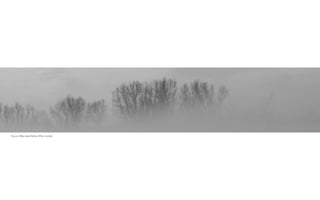 Fog on Wax Lake Delta, Ethan Jordan
 