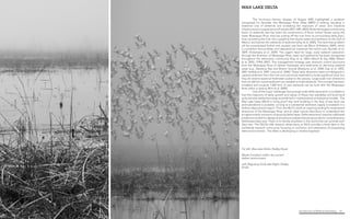 Architecture of (Wet)Land Building 12
Far left, Wax Lake Delta, Shelby Doyle
Marsh Condition within the current
deltaic environment
Left, Migratory birds take flight, Shelby
Doyle
	 The Hurricane Katrina disaster of August 2005 highlighted a problem
recognized for decades: the Mississippi River Delta (MRD) is sinking, resulting in
extensive loss of wetlands and increasing the exposure of urban and industrial
infrastructuretocoastalstorms[Fischetti2001;NRC2005].Byfarthelargestcontributing
factor to wetlands loss has been the construction of flood control levees along the
lower Mississippi River, that has cutting off the river from its surrounding delta plain,
thus converting the river into a pipeline that shunts water and sediment to the Gulf of
Mexico and starves the wetlands of sediment [Day et al. 2005]. The land-loss problem
will be exacerbated further with eustatic sea level rise [Blum & Roberts 2009], which
is a problem facing deltas and depositional coastlines the world over [Syvitski et al.
2009; Vörösmarty et al. 2009]. The urgent need for large- scale wetland restoration
through the diversion of Mississippi River water and sediments has been recognized
throughout the restoration community [Day et al. 2003; Mitsch & Day 2006; Mitsch
et al. 2005, CPRA 2007]. This management strategy uses diversion control structures
from the Mississippi River to deliver freshwater and sediments to declining wetland
areas (e.g., Barataria Bay and Breton Sound) [[Delaune et al. 2008; Day et al. 2005,
2007; Keddy et al. 2007; Lane et al. 2006]. These early diversions were not designed to
capture sediment from the river and cannot be expected to build significant land, but
they do restore seasonal freshwater pulses to the estuary. Large-scale river diversions
that can deliver coarse sediment are needed to build wetlands. This concept has been
modeled and projects 1,000 km2 of new wetlands can be built with the Mississippi
River within a century [Kim et al. 2009].
	 One of the major challenges facing large-scale delta restoration is confidence
that the trajectory of delta growth and decay of these new subdeltas will build land
and promote wetland ecology as predicted in mathematical and physical models. The
Wax Lake Delta (WLD) is living proof that land building in the face of sea level rise
and subsidence is possible, as long as a substantial sediment supply is available in a
shallow depositional region. Thus, the WLD is both an inspiring analog for engineered
diversions of the Mississippi River, and an ideal natural laboratory to understand the
ecogeomorphic evolution of growing delta lobes. Delta restoration requires calibrated
predictive models for design and scenario analysis that are grounded in comprehensive
field-based data sets. There is no facility anywhere in the world that can provide such
data sets. The DELTA LAB research observatory at WLD provides critical data to the
worldwide research community focusing on evolution and restoration of prograding
delta environments. The delta is developing in shallow bayhead
WAX LAKE DELTA
 