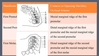 Occlusal Marginal Ridge wax pattern, Esthetic and Occlusal Considerations | PPTX