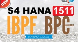 SAP BPC Embedded planning optimized for S/4HANA/IBPF