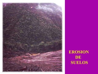 EROSION DE  SUELOS 