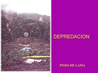 DEPREDACION POZO DE LAMA 