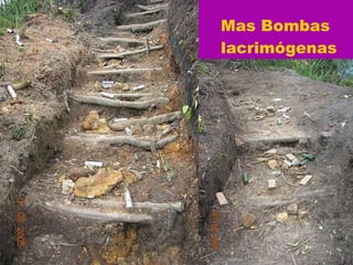 Mas Bombas lacrimógenas 