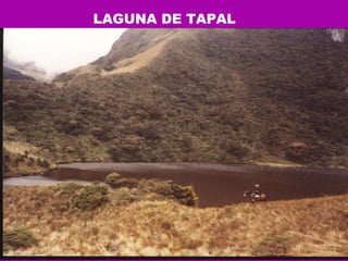 LAGUNA DE TAPAL  