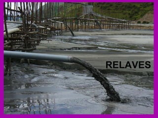RELAVES   