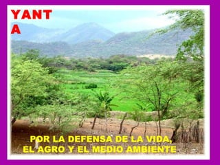 YANTA   POR LA DEFENSA DE LA VIDA, EL AGRO Y EL MEDIO AMBIENTE 