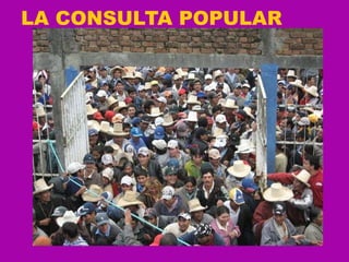 LA CONSULTA POPULAR 