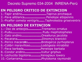 EN PELIGRO CRITICO DE EXTINCION  1.-Tapir andino ……………………… Tapirus pinchaque  2.-Pava aliblanca ……………..…… .Penelope albipennis  3.-Picaflor cometa ventigris …… .Taphrolesbia griseiventris EN PELIGRO DE EXTINCION  1.- Oso de anteojos …………… Tremartos ornatus  2.-Pudu …………………………… .Pudu mephistopheles  3.-Gato andino ……………….… Oreailurus jacobita  4.-Pacarana ……………………… Dinomys branickii  5.-Perico macare ñ o …………… Brotogerys pyrhopterus  6.-Colibri maravilloso ………… Loddigesia mirabilisi  7.-Pava barbada ………………. Penelope barbata  8.-Condor andino ……………… Vultur griphus  9.-Lechucita bigotona ……….. Xenoglaux lowery  10.-Cortarrama ………………… Phytotoma raymondii Decreto Supremo 034-2004  INRENA-Perú 
