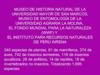 340 especies de plantas, 61 de mamíferos, 374 de aves, 742 de insectos terrestres, 118 de insectos acuáticos, 28 de anfibios, 14 de reptiles, 18 de invertebrados no insectos. Totalizando 1,695 especies MUSEO DE HISTORIA NATURAL DE LA UNIVERSIDAD MAYOR DE SAN MARCOS, MUSEO DE ENTOMOLOGÍA DE LA UNIVERSIDAD AGRARIA LA MOLINA,  EL FONDO MUNDIAL PARA LA NATURALEZA (WWF) Y  EL INSTITUTO PARA RECURSOS NATURALES DE PERÚ INRENA 