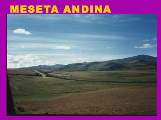 MESETA ANDINA   