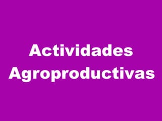 Actividades Agroproductivas   