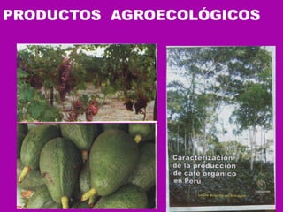 PRODUCTOS  AGROECOLÓGICOS   