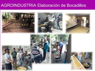 AGROINDUSTRIA Elaboración de Bocadillos   